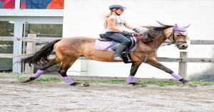 Image illustrating QR Codes For Horseback Riding Lesson Business
