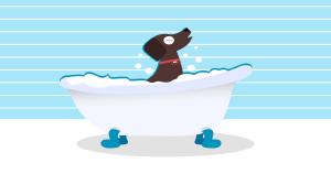 Image illustrating QR Codes For Pet Grooming Business